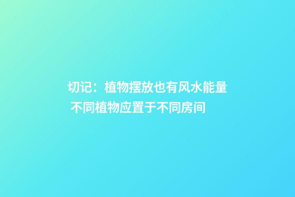 切记：植物摆放也有风水能量 不同植物应置于不同房间